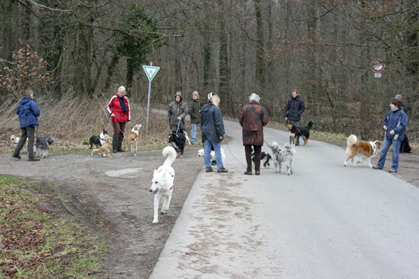 Hundespaziergang Jan. 2008 004