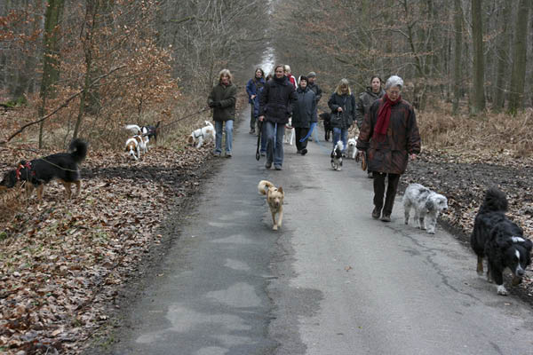 Hundespaziergang Jan. 2008 010