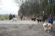 Hundespaziergang Jan. 2008 008