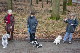 Hundespaziergang Jan. 2008 018