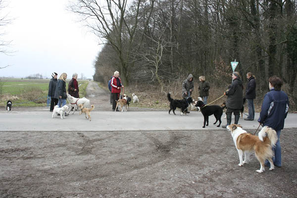 Hundespaziergang Jan. 2008 008