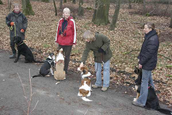 Hundespaziergang Jan. 2008 017