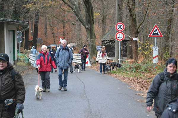 Wanderung Peiner Eulen im Harz_19.11.11 009
