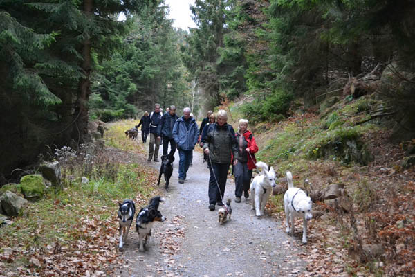 Wanderung Peiner Eulen im Harz_19.11.11 068