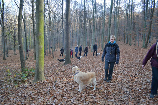 Wanderung Peiner Eulen im Harz_19.11.11 099