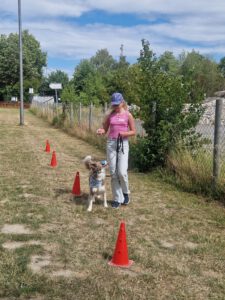 IMG-20250705-WA0008