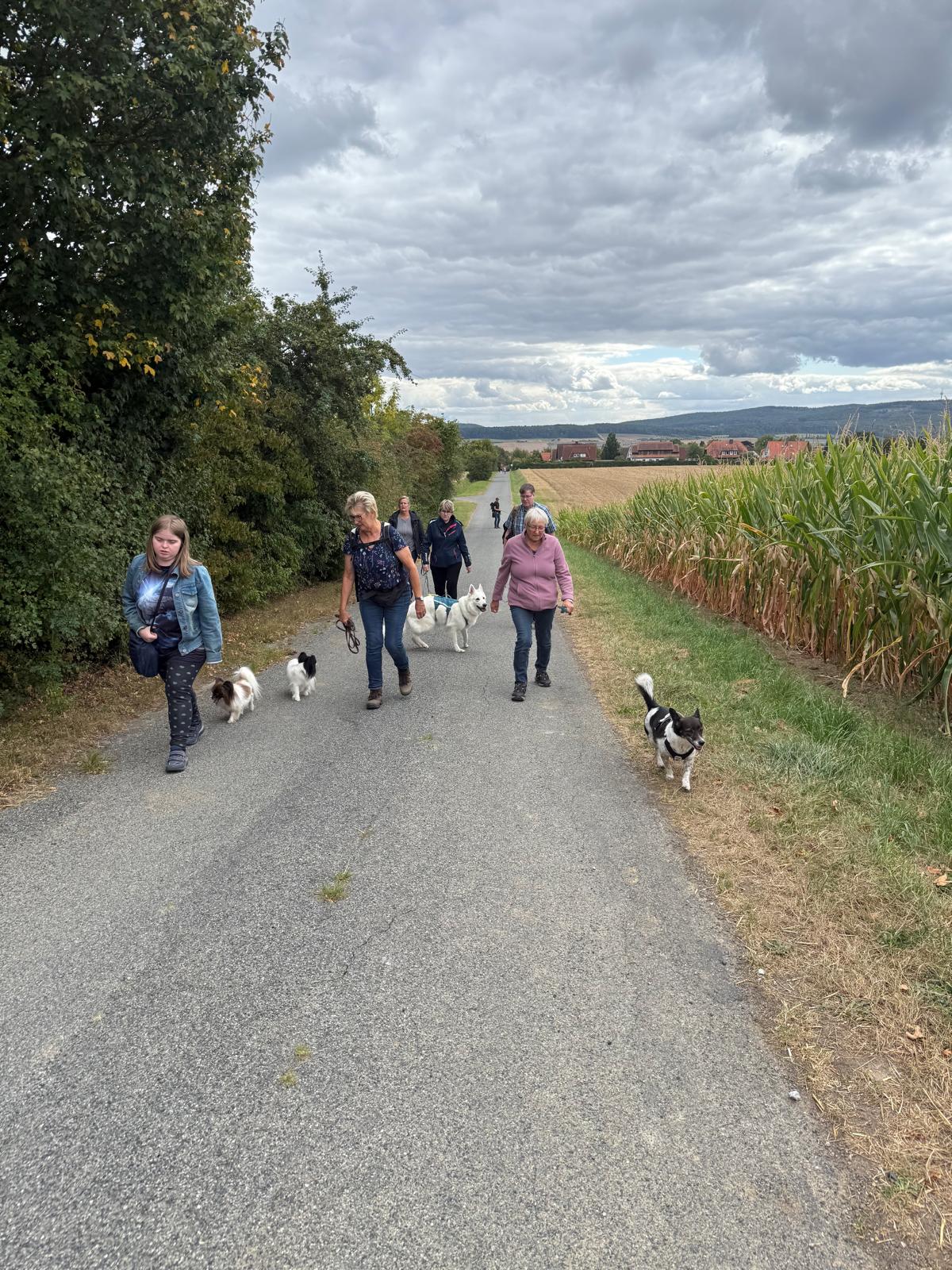 Sommerwanderung 2