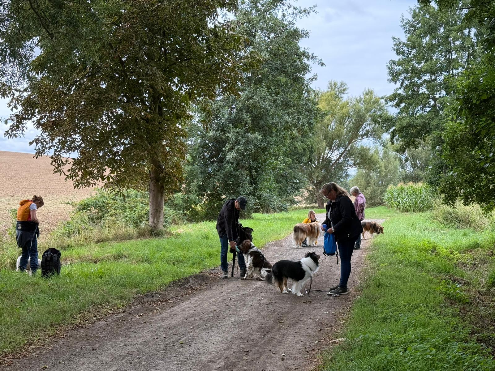 Sommerwanderung 3