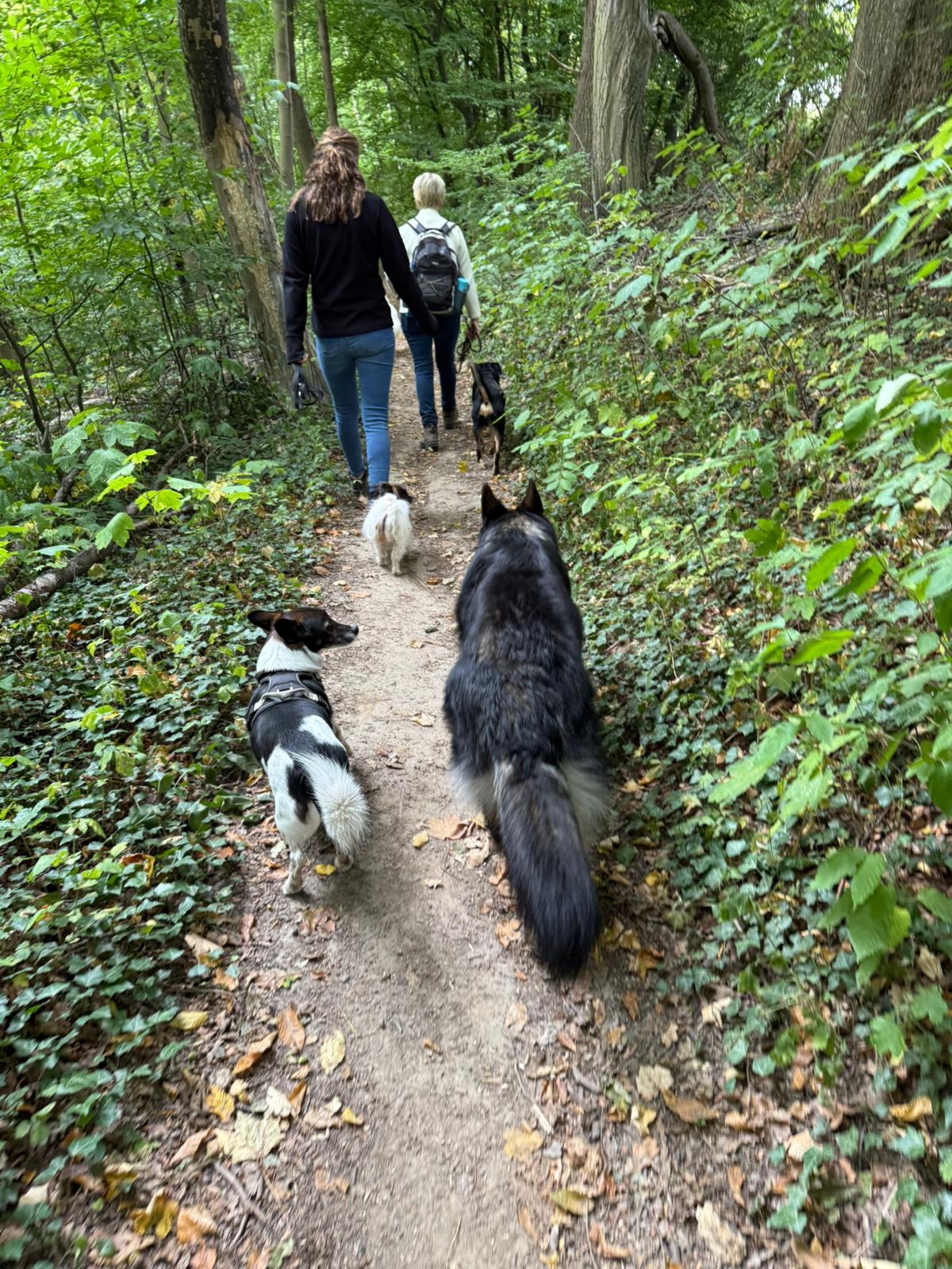 Sommerwanderung 4