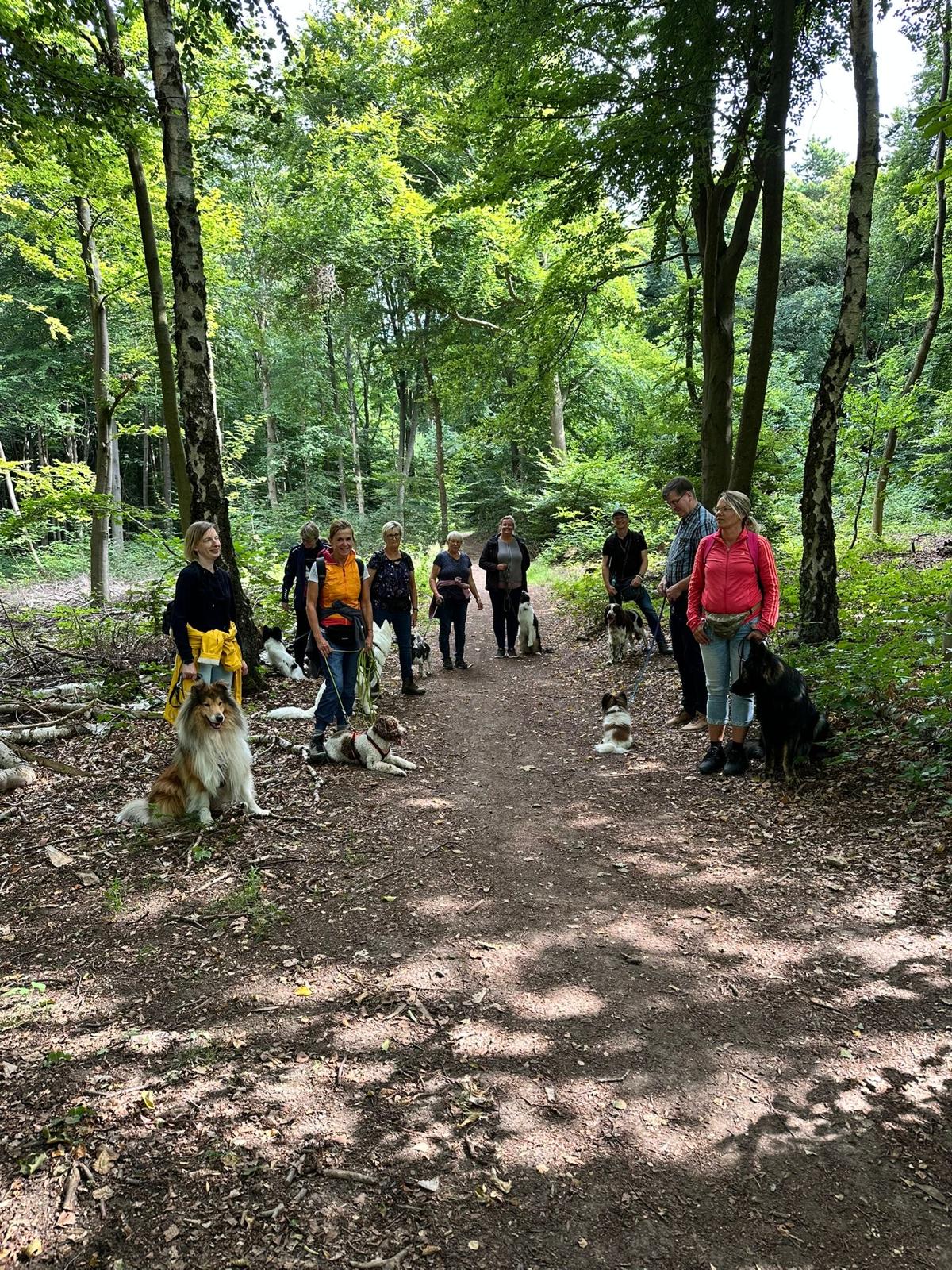 Sommerwanderung 7