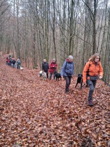 WhatsApp Image 2025-11-29 at 14.40.17