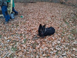 WhatsApp Image 2025-11-29 at 14.40.18 (1)