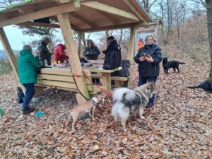 WhatsApp Image 2025-11-29 at 14.40.18 (2)