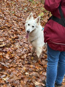 WhatsApp Image 2025-11-29 at 14.42.04 (1)