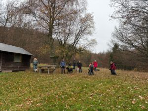 WhatsApp Image 2025-11-29 at 14.42.04 (2)