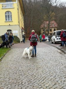 WhatsApp Image 2025-11-29 at 14.42.04