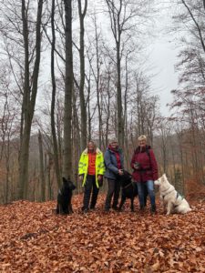 WhatsApp Image 2025-11-29 at 14.46.38