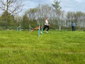 IMG_9365
