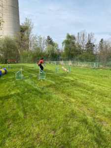 IMG_9370