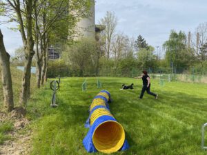 IMG_9372
