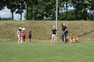 Gruppenhund Simba sucht beim "Leckerli-Lauf" die verlorenen Leckerbissen